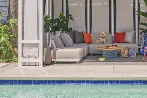 A small dog hanging out on a couch in a poolside cabana