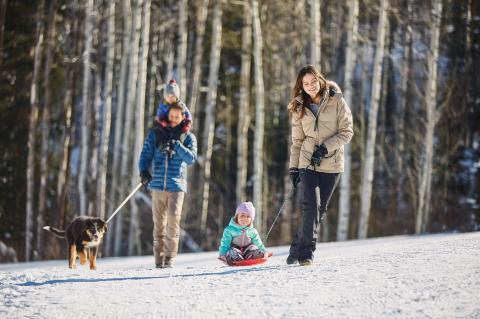 A family walks their dog in the woods at Snowmass, while pulling a child on a sled