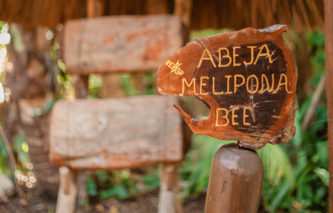 Melipona Bee Sign