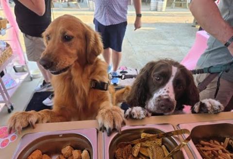 two dogs at a treat cart