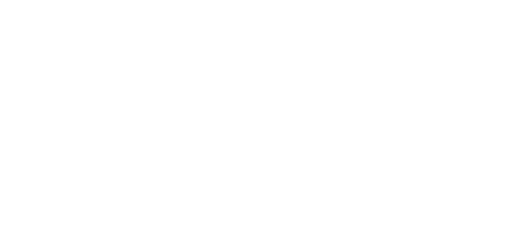 Viceroy Park Avenue White Logo