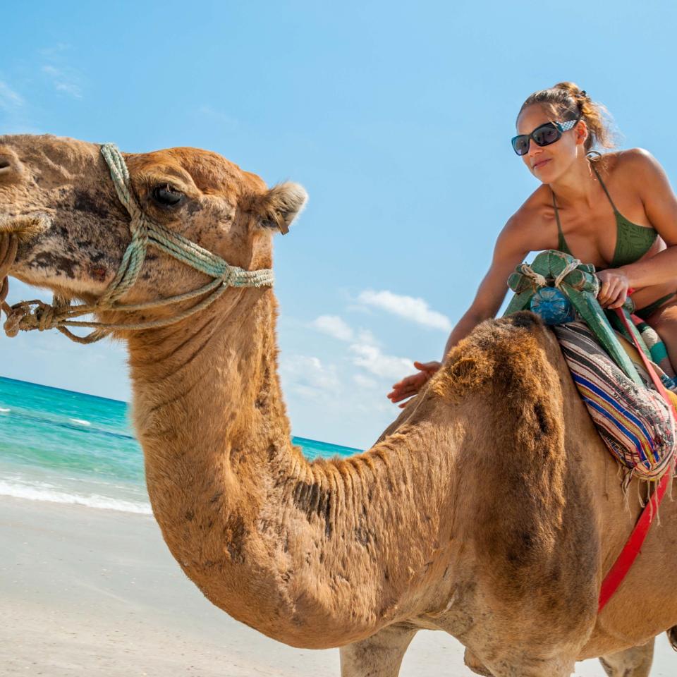 woman on the back of a camel on the beach