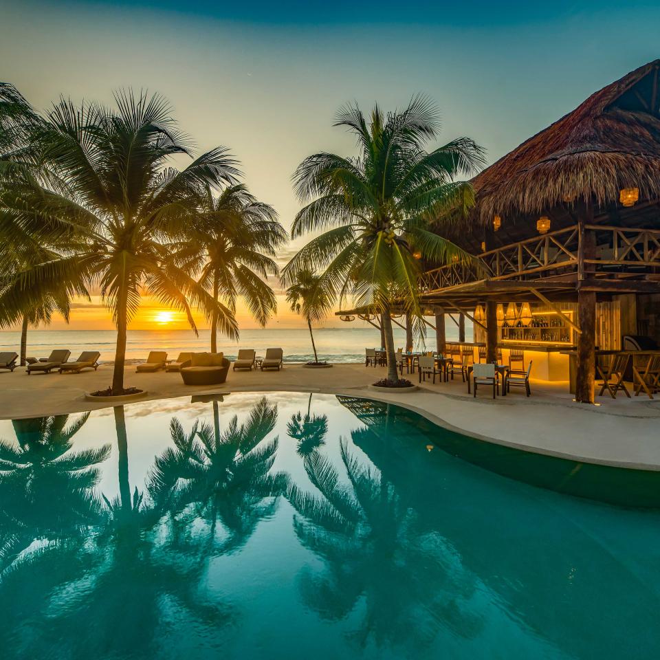 pool with hatched roof building and palm trees