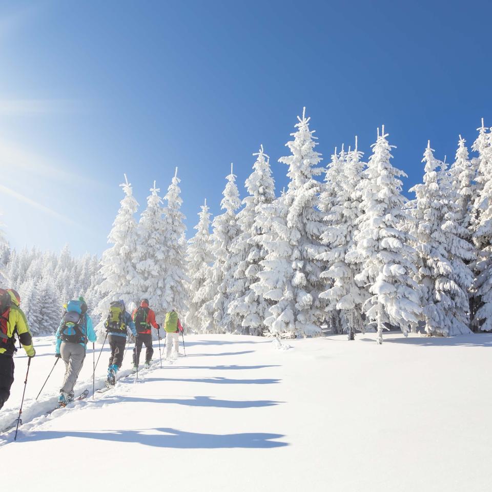 A group of cross-country skiiers traverse a snowy landscape in single file