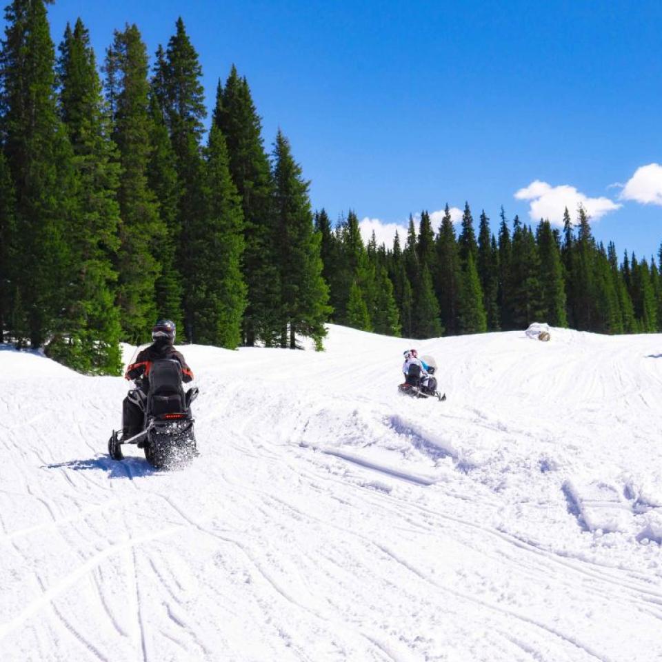 Two snowmobiles drive through a forested area in Kopaonik