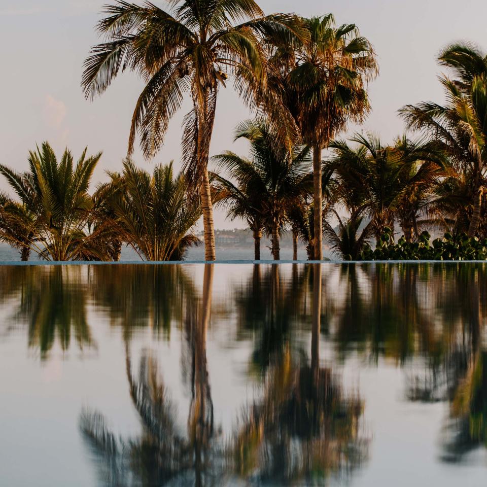 A palm-tree lined pool at Viceroy Los Cabos