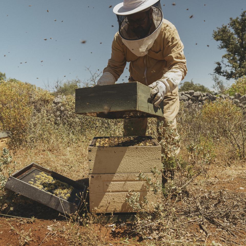 A bee keeper with a hive as an experience at Ombria Algarve