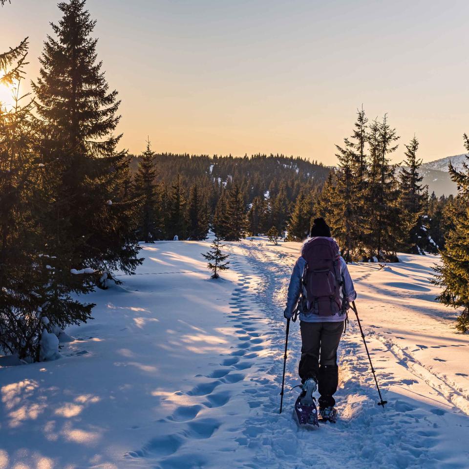 A person snowshoeing along a path at sunset