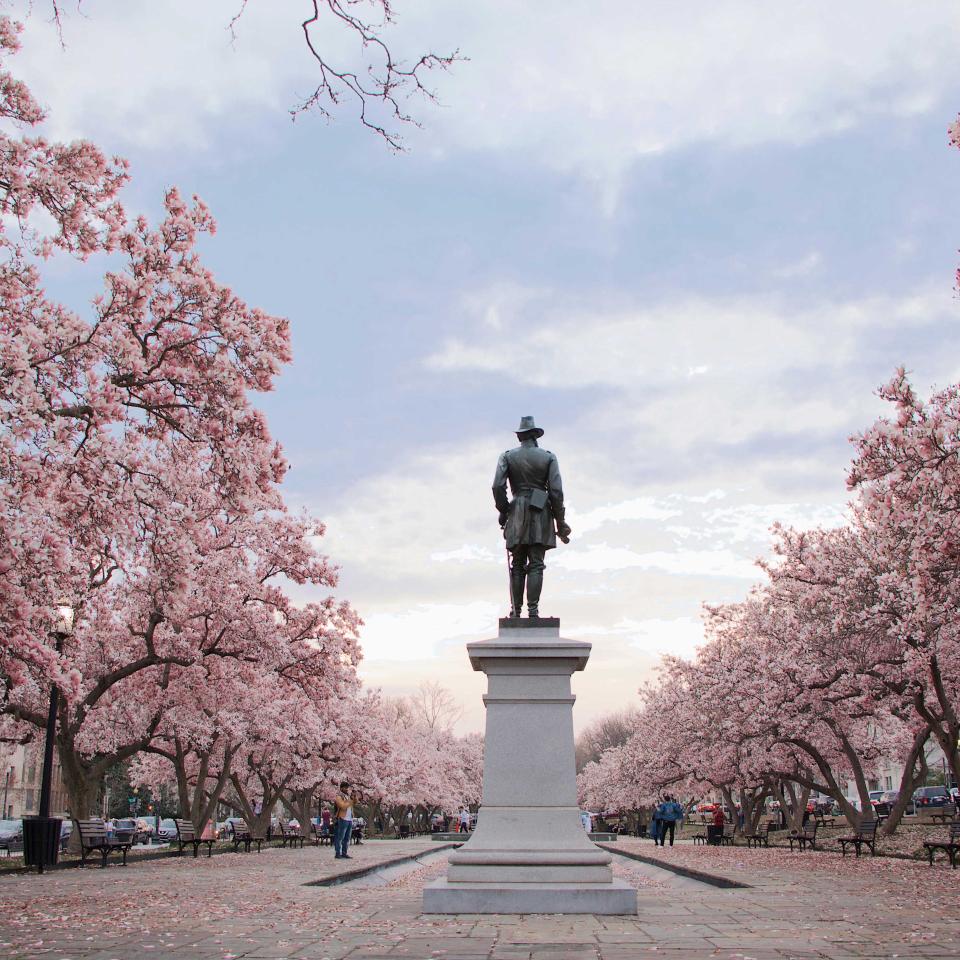Cherry blossoms in a plaza at the foot of a statue in Washington, DC