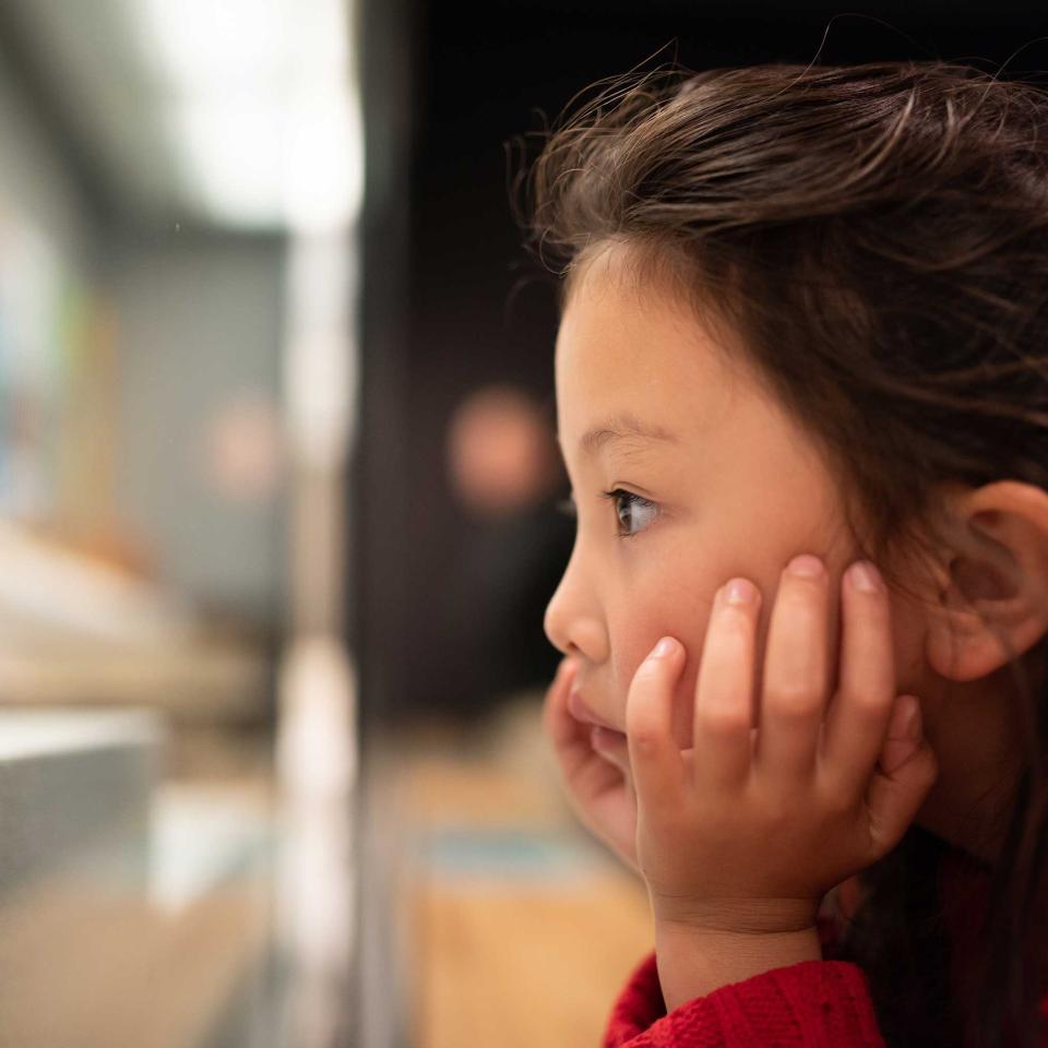 A child looks at a museum exhibit in Washington, DC