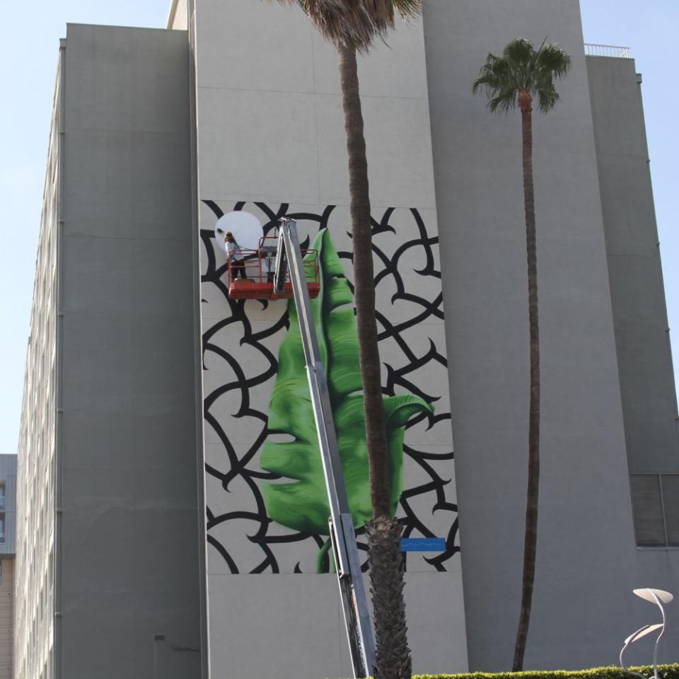 Deep roots mural being painted on a wall by an artist in a crane