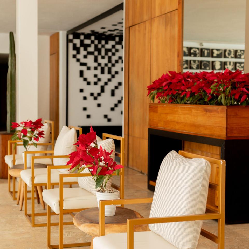 chairs