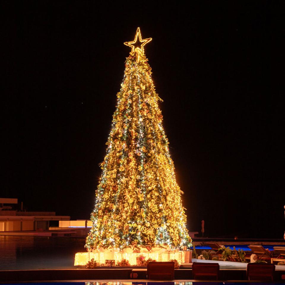 christmas tree
