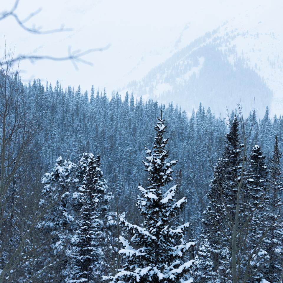Winter