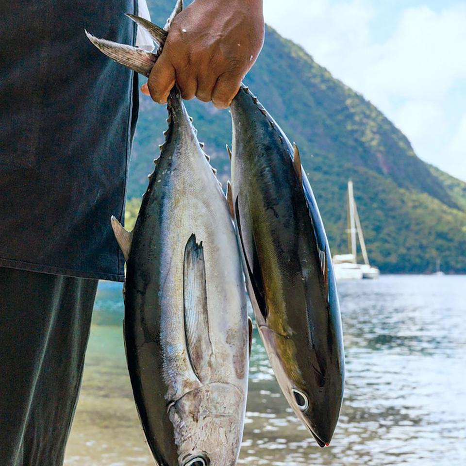Chef holding fish while standing on the beach.