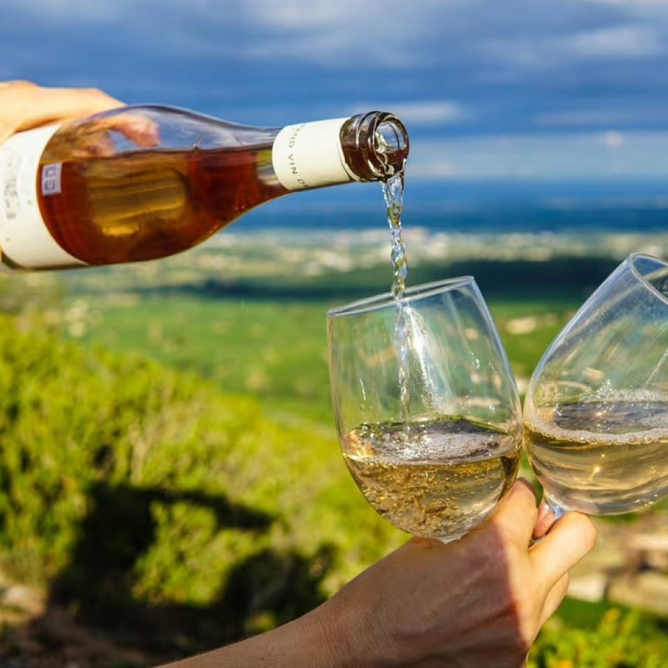wine tour VSM