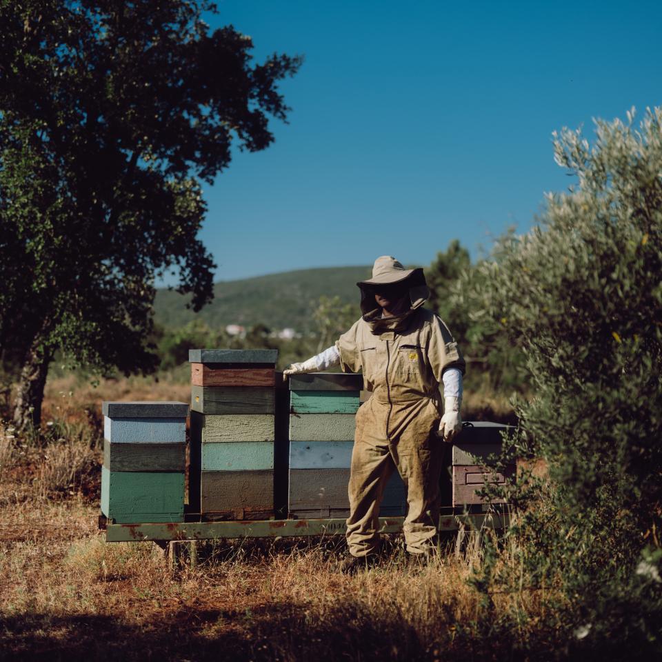 Beekeeper Jose Maria Martinez stands in front of his hives