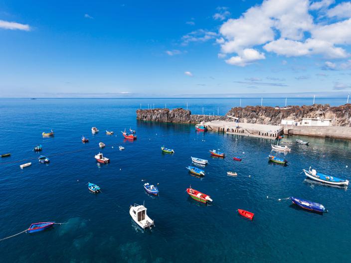 aerial view of the marina near Viceroy Los Cabos