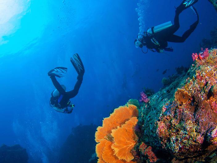 two people scuba dive near coral