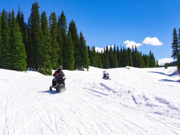 two skidoos drive through snowy tree area