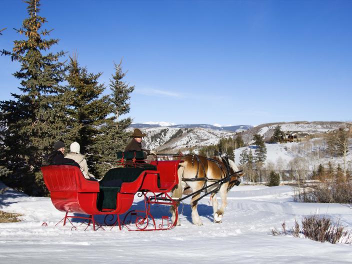 group of people in red sleigh pulled by horse