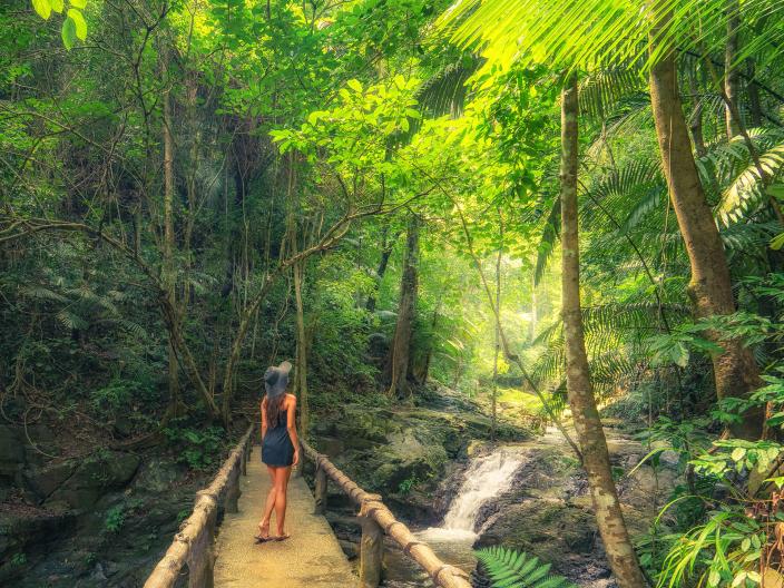 woman in a hat walks across a bridge in jungle