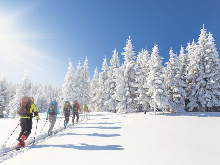 A group of cross-country skiiers traverse a snowy landscape in single file