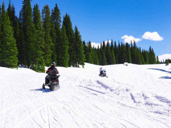Two snowmobiles drive through a forested area in Kopaonik