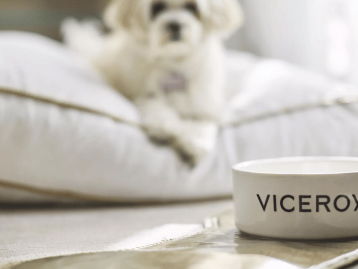A dog sitting on a pillow looking at a dog food bowl with viceroy written on it at Viceroy Kopaonik Serbia