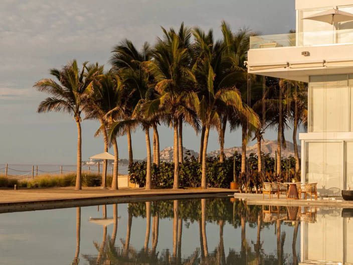 Poolside at Los Cabos with beautiful palm trees and a view of the ocean 