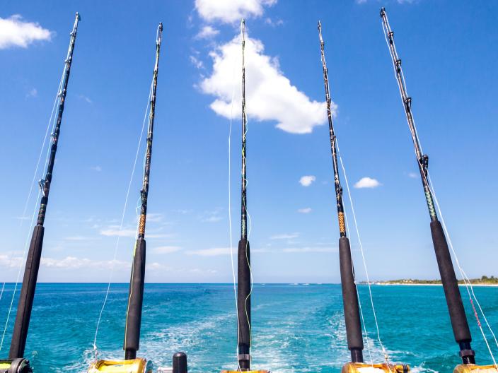 Fishing at Riviera Maya