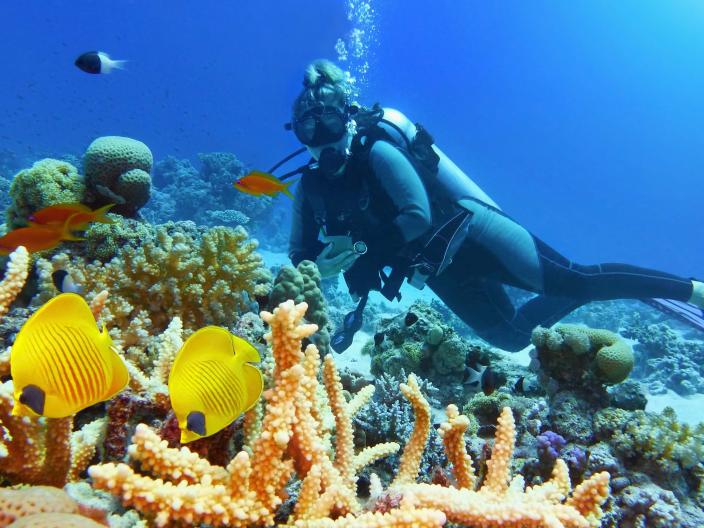 Scuba Snorkling