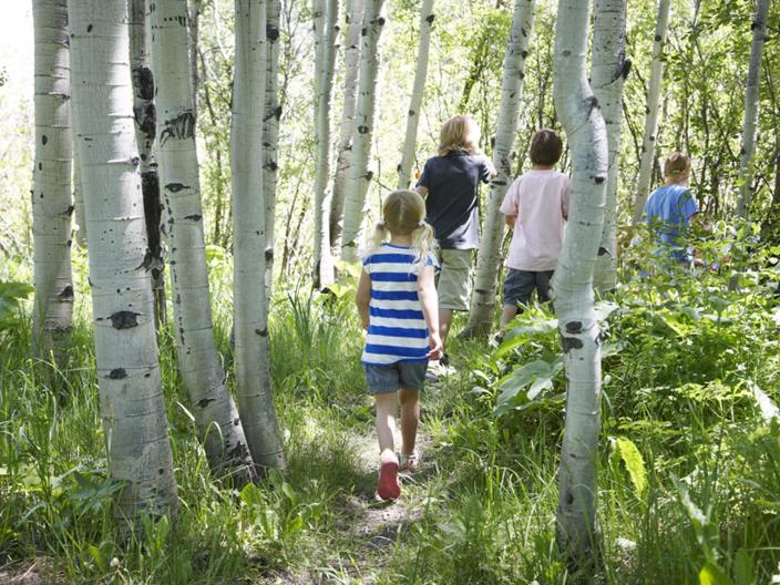 Kids hiking in a Colorado forrest
