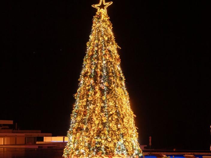 christmas tree