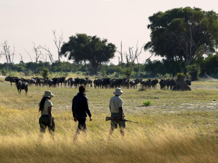 walking in safari