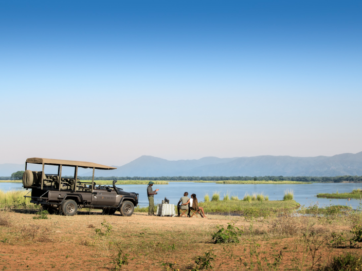 Safari Tour