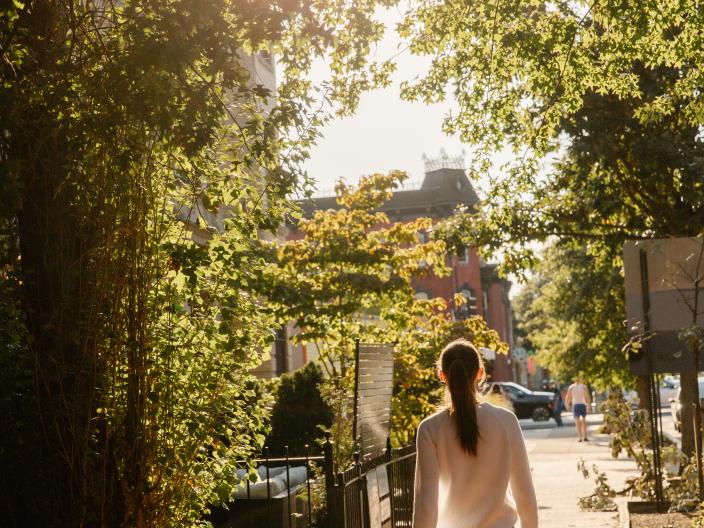 VDC Neighborhood with tree-lined street