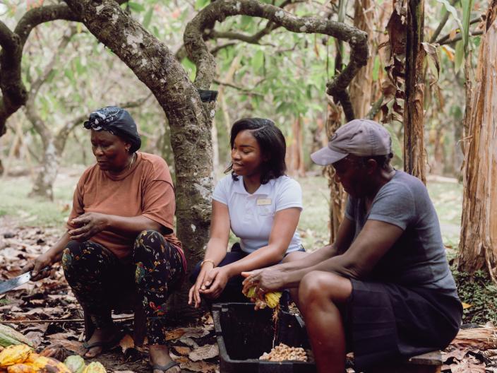 Três pessoas estão sentadas debaixo das árvores numa floresta, a separar vagens de cacau ao lado de um balde preto e de uma pilha de vagens amarelas, laranjas e castanhas.
