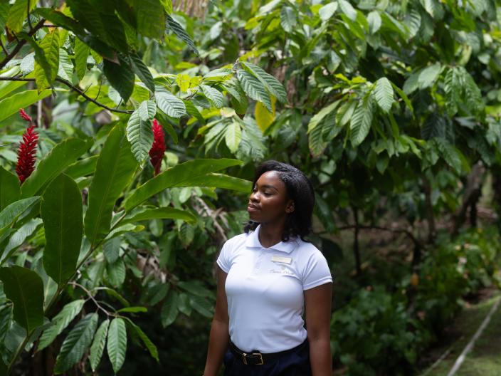 Uma mulher, vestida com uma camisa polo branca e calças escuras, está de pé no meio de uma densa vegetação tropical, rodeada por folhas verdes largas e flores vermelhas.