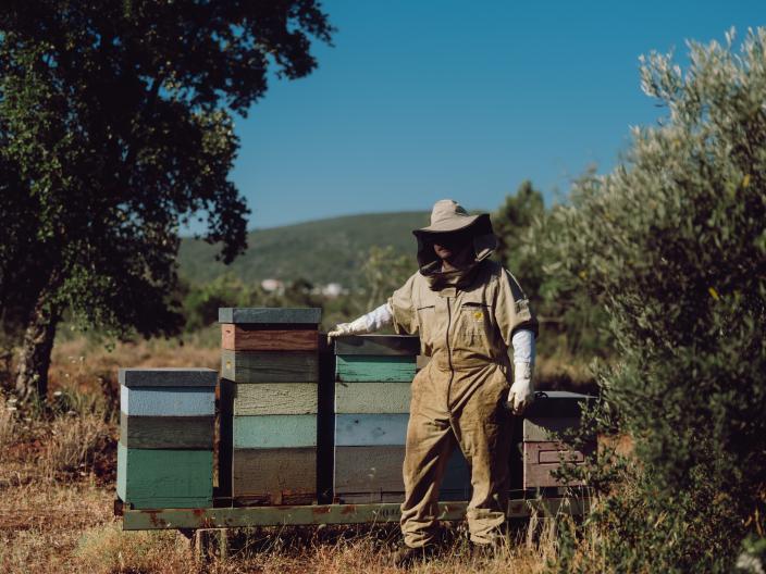 Beekeeper Jose Maria Martinez stands in front of his hives