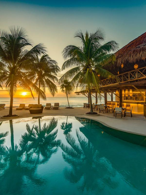 pool with hatched roof building and palm trees