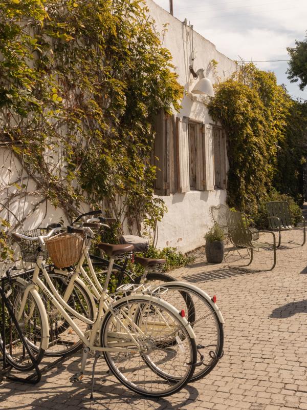Two bicycles parked on a brick street next to a vine-covered white building
