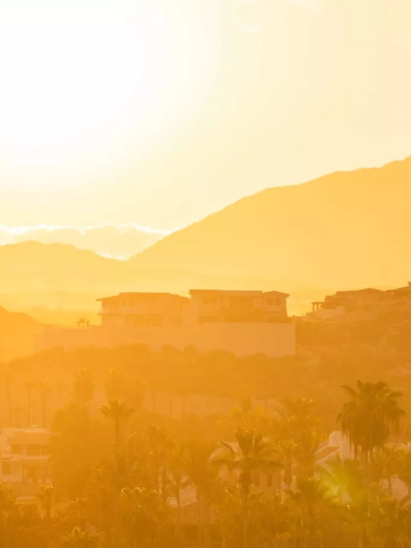 The sun over Los Cabos making everything look golden