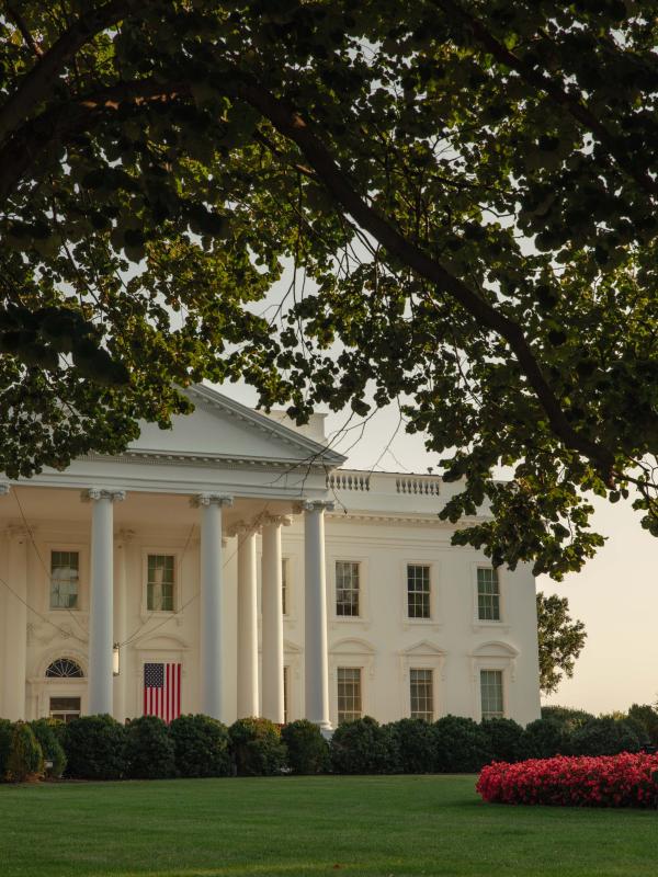 The White House in Washington DC