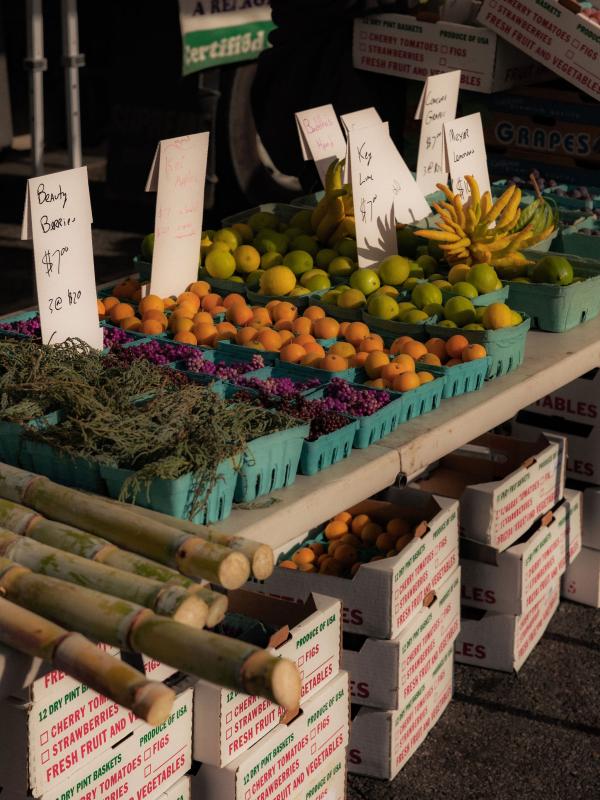 trays of fruits and vegetables with white signs sit in front of windows