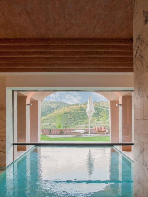 Empty pool area overlooking the lawn