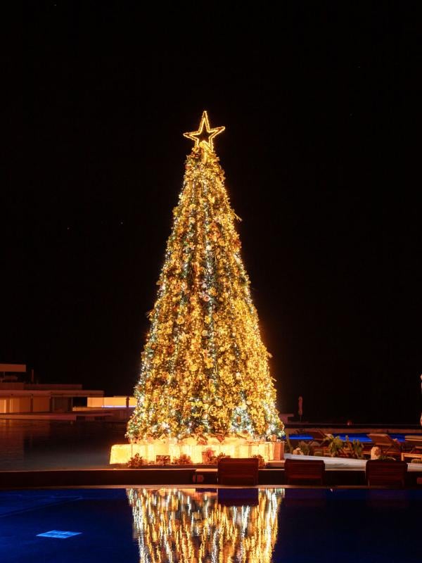 christmas tree