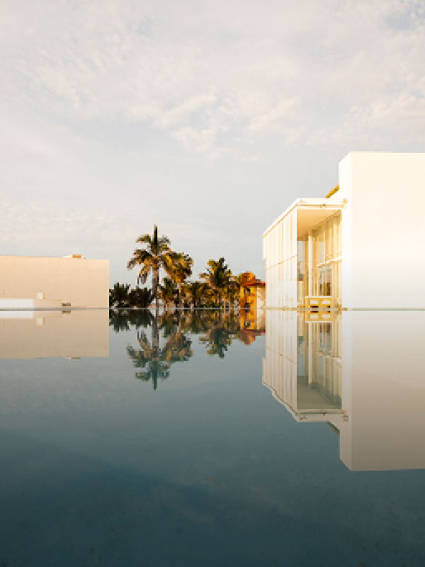 Los Cabos Viceroy pool