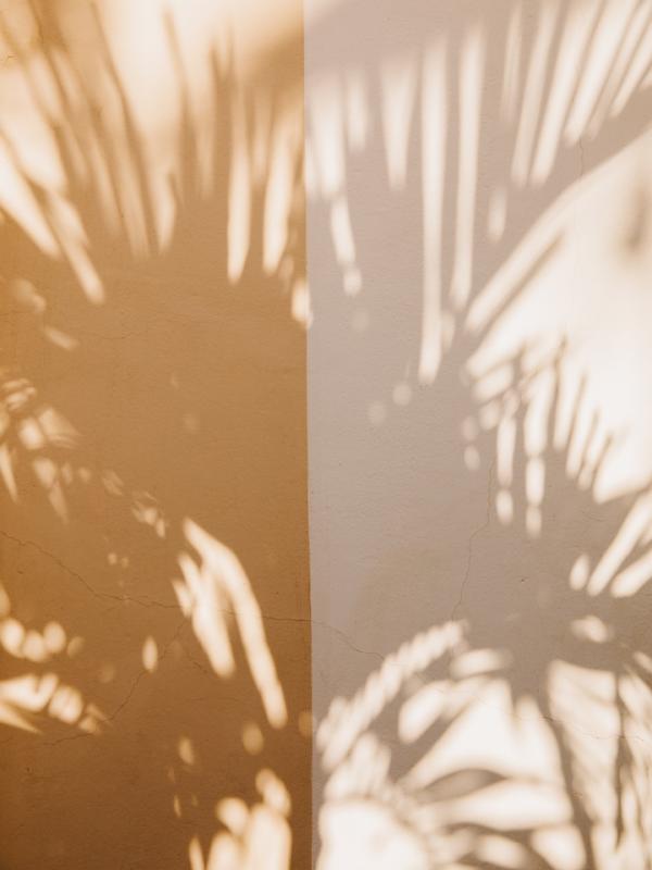 Detail of a palm tree's shadow cast on the wall