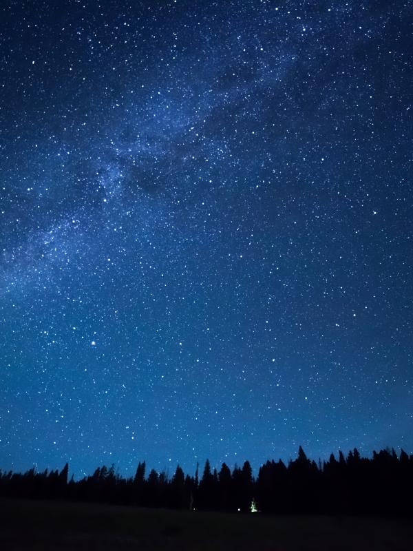 Un cielo nocturno con estrellas y una galaxia